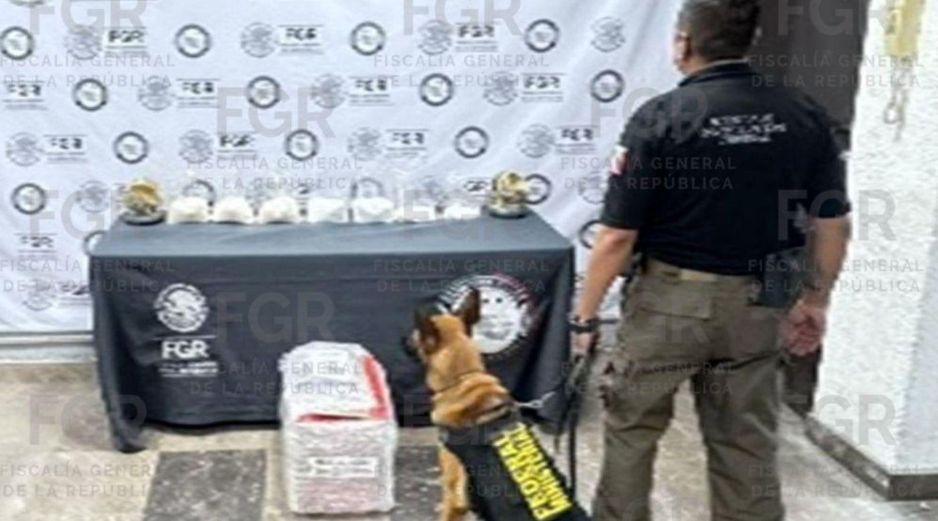 Los hechos fueron notificados al Ministerio Público correspondiente, en espera de que se reúnan los indicios necesarios para dar con la persona o las personas responsables. CORTESÍA