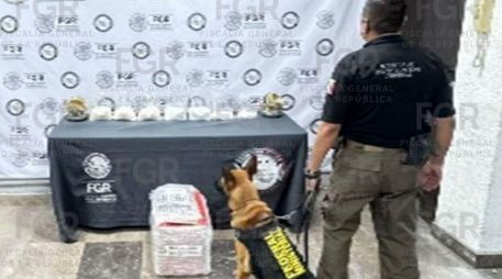 Los hechos fueron notificados al Ministerio Público correspondiente, en espera de que se reúnan los indicios necesarios para dar con la persona o las personas responsables. CORTESÍA