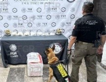 Los hechos fueron notificados al Ministerio Público correspondiente, en espera de que se reúnan los indicios necesarios para dar con la persona o las personas responsables. CORTESÍA