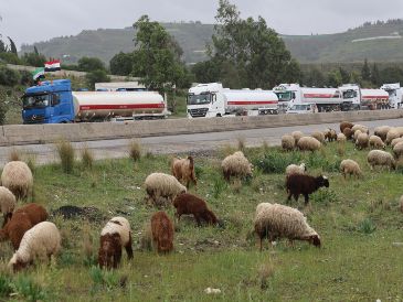 Camiones cisterna de petróleo raqi haciendo fila a lo largo de la carretera entre Tartus y Latakia, Siria. EFE/M. Alrifai