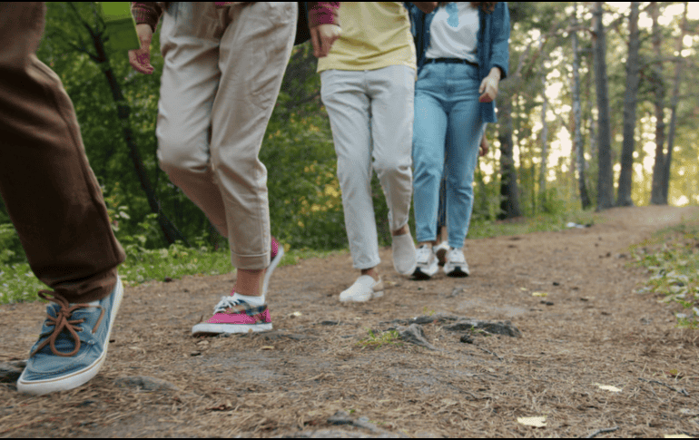 La tendencia del ecoturismo está en su punto más alto. CANVA