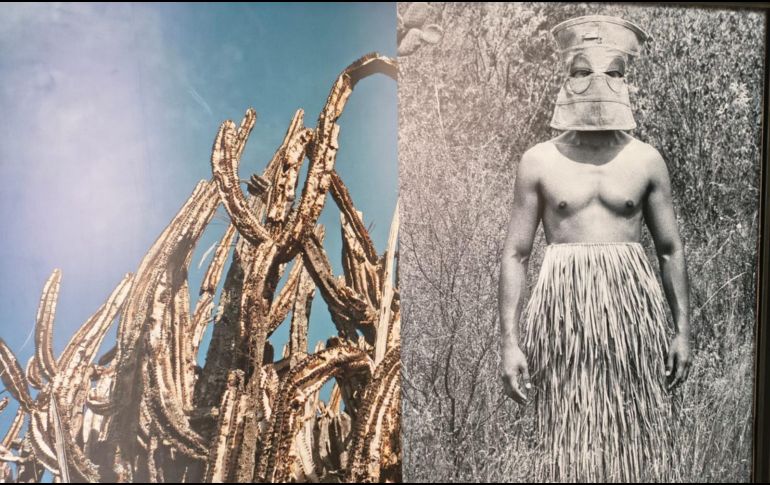 Gustavo García-Villa utiliza la desnudez masculina y los elementos naturales como parte de una narrativa visual profundamente simbólica.