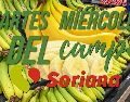 Estas son TODAS las ofertas de hoy y mañana en Soriana por el Martes y Miércoles del Campo. EL INFORMADOR / ARCHIVO