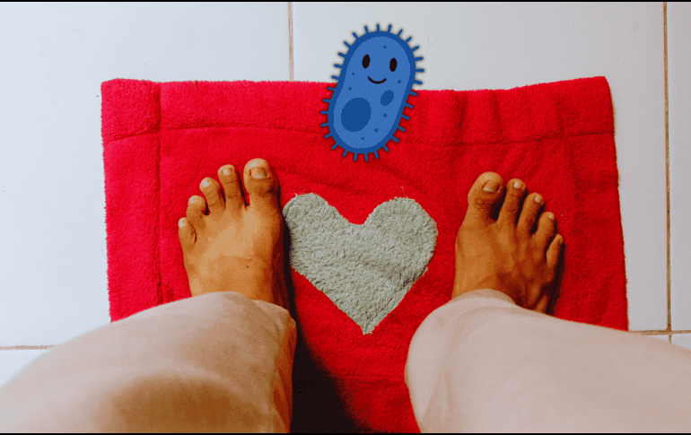 Al ser muy absorbentes, las alfombras textiles deben lavarse en lavadora con agua caliente cada 2 o 3 días. ESPECIAL / CANVA