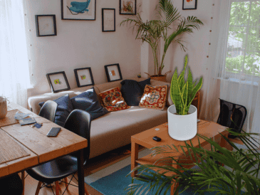 Las plantas actúan como filtros naturales que purifican el ambiente cerrado de los departamentos modernos, eliminando toxinas comunes del aire y mejorando la oxigenación nocturna. ESPECIAL / CANVA