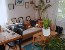 Las plantas actúan como filtros naturales que purifican el ambiente cerrado de los departamentos modernos, eliminando toxinas comunes del aire y mejorando la oxigenación nocturna. ESPECIAL / CANVA