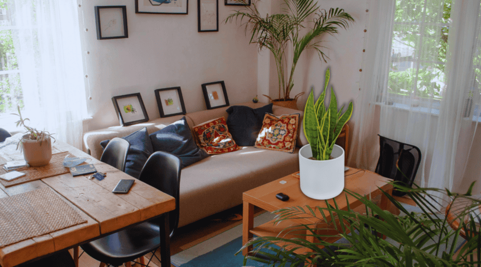 Las plantas actúan como filtros naturales que purifican el ambiente cerrado de los departamentos modernos, eliminando toxinas comunes del aire y mejorando la oxigenación nocturna. ESPECIAL / CANVA