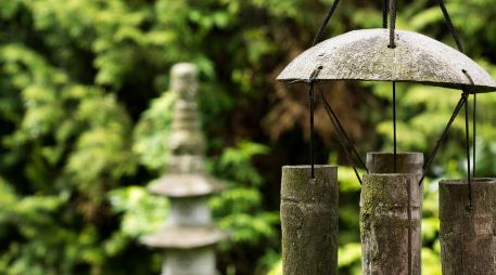 Además de reducir el estrés y purificar el aire, algunas plantas atraen el dinero y la buena suerte. ESPECIAL/PEXELS