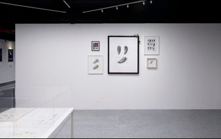 La muestra reúne doce piezas y bocetos que nacen del cruce entre las artes plásticas y el lenguaje cinematográfico. ESPECIAL/ FICG GUADALAJARA.