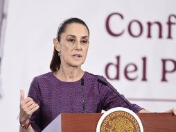 Sheinbaum dijo que hace unos días Estela Damián le dijo que ella quería irse a trabajar a Guerrero. EFE / J. MENDES