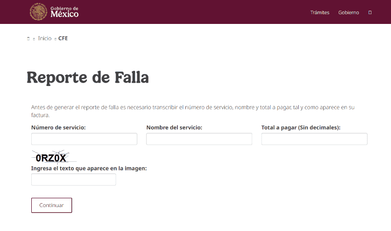 ESPECIAL / CFE&nbsp;