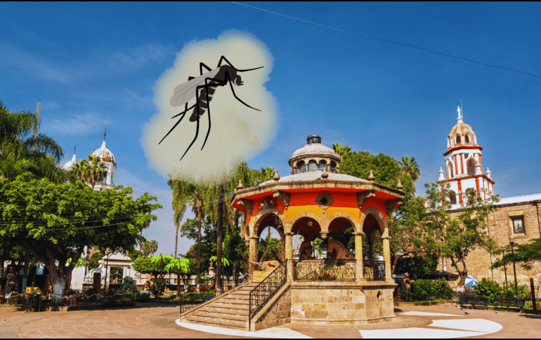 Conocer cuándo comienza la invasión del mosquito en tu colonia es vital hoy para limpiar tu hogar, evitar contagios graves de dengue y proteger a tu familia antes de que sea demasiado tarde. EL INFORMADOR / ARCHIVO