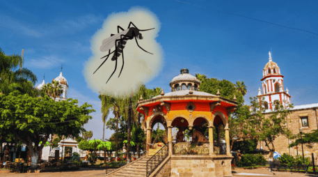 Conocer cuándo comienza la invasión del mosquito en tu colonia es vital hoy para limpiar tu hogar, evitar contagios graves de dengue y proteger a tu familia antes de que sea demasiado tarde. EL INFORMADOR / ARCHIVO