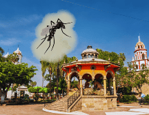 Conocer cuándo comienza la invasión del mosquito en tu colonia es vital hoy para limpiar tu hogar, evitar contagios graves de dengue y proteger a tu familia antes de que sea demasiado tarde. EL INFORMADOR / ARCHIVO