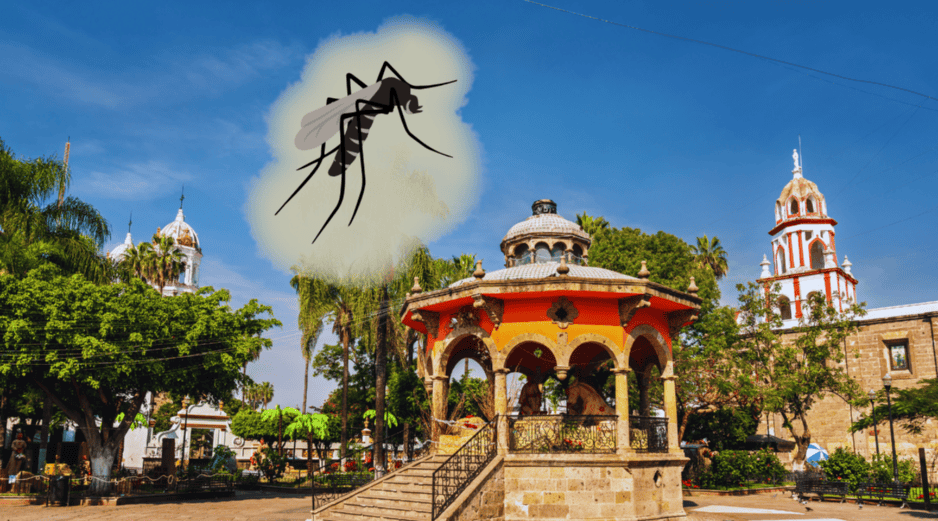 Conocer cuándo comienza la invasión del mosquito en tu colonia es vital hoy para limpiar tu hogar, evitar contagios graves de dengue y proteger a tu familia antes de que sea demasiado tarde. EL INFORMADOR / ARCHIVO