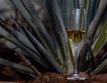 El Congreso de la Unión aprobó que el 24 de julio sea reconocido oficialmente como el Día Nacional del Tequila en México. CORTESÍA