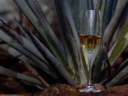 El Congreso de la Unión aprobó que el 24 de julio sea reconocido oficialmente como el Día Nacional del Tequila en México. CORTESÍA
