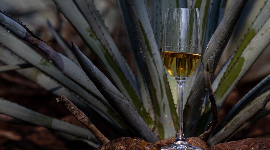 El Congreso de la Unión aprobó que el 24 de julio sea reconocido oficialmente como el Día Nacional del Tequila en México. CORTESÍA