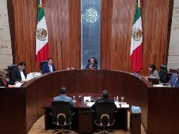 TEPJF ordena repetir consulta por irregularidades. ESPECIAL