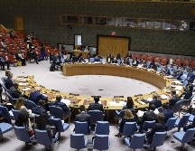 La propuesta se impulsa desde 2015 y ya ha sumado el apoyo de más de un centenar de países. EFE/Archivo