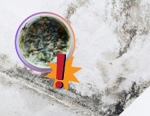 Actúa rápido ante la primera señal de decoloración en la pintura, la aparición de pequeños puntos negros o la percepción de un olor a humedad en casa. UNSPLASH / O. Shmahalo / P. Frames