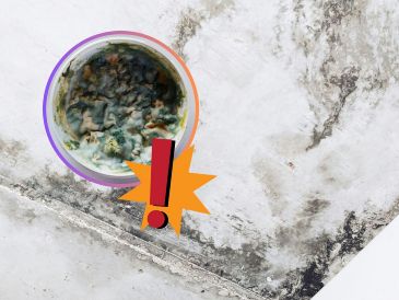 Actúa rápido ante la primera señal de decoloración en la pintura, la aparición de pequeños puntos negros o la percepción de un olor a humedad en casa. UNSPLASH / O. Shmahalo / P. Frames