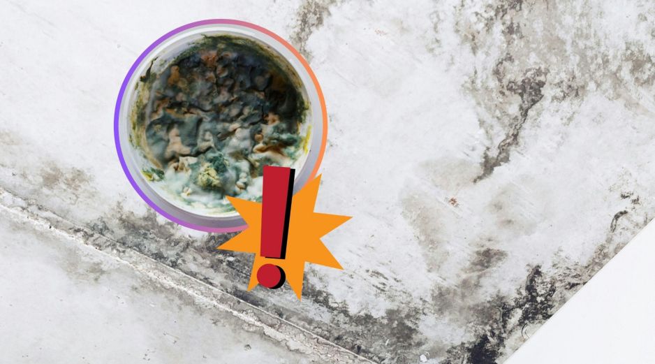 Actúa rápido ante la primera señal de decoloración en la pintura, la aparición de pequeños puntos negros o la percepción de un olor a humedad en casa. UNSPLASH / O. Shmahalo / P. Frames