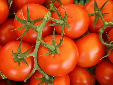 Con estas alternativas puedes seguir preparando tus platillos favoritos sin necesidad de usar jitomate, mientras cuidas tu bolsillo. Unsplash