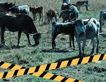 Desde la tarde de ayer, la madre de Rodríguez ha compartido decenas de publicaciones que condenan la muerte violenta de la funcionaria en el nnorte de México. EL INFORMADOR / ARCHIVO