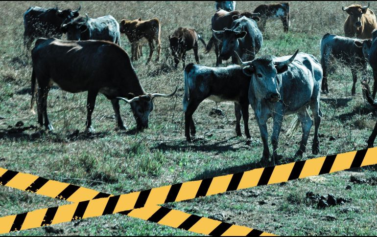 Desde la tarde de ayer, la madre de Rodríguez ha compartido decenas de publicaciones que condenan la muerte violenta de la funcionaria en el nnorte de México. EL INFORMADOR / ARCHIVO