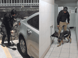 Personal del grupo antiexplosivos Tedax de la Secretaría de Seguridad del Estado acudió con binomios caninos para realizar la inspección del edificio. ESPECIAL