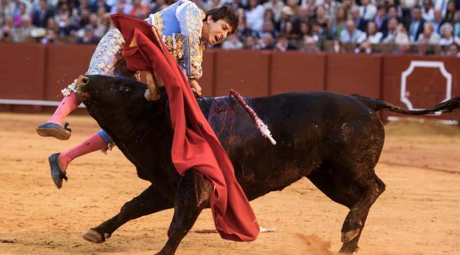 Andrés Roca Rey fue alcanzado al entrar a matar al quinto toro de la tarde, un ejemplar marcado con el hierro de Toros de Cortés. EFE/R. Caro