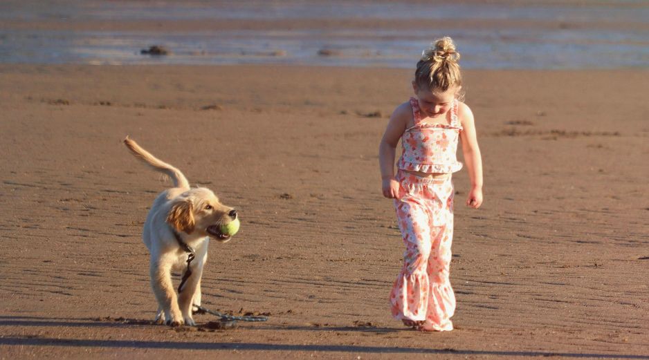 La educación, la socialización temprana y el cariño son los verdaderos pilares para una convivencia segura entre niños y perros.UNSPLASH / SHAYLYN