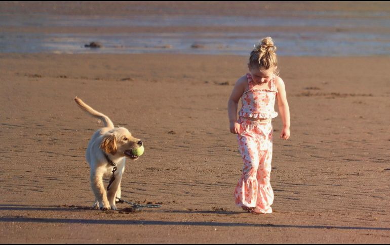 La educación, la socialización temprana y el cariño son los verdaderos pilares para una convivencia segura entre niños y perros.UNSPLASH / SHAYLYN