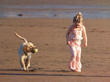 La educación, la socialización temprana y el cariño son los verdaderos pilares para una convivencia segura entre niños y perros.UNSPLASH / SHAYLYN