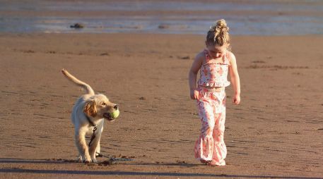 La educación, la socialización temprana y el cariño son los verdaderos pilares para una convivencia segura entre niños y perros.UNSPLASH / SHAYLYN