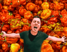 Este chile posee propiedades antioxidantes, antiinflamatorias y es una excelente fuente de vitamina C para el cuerpo. ESPECIAL / CANVA