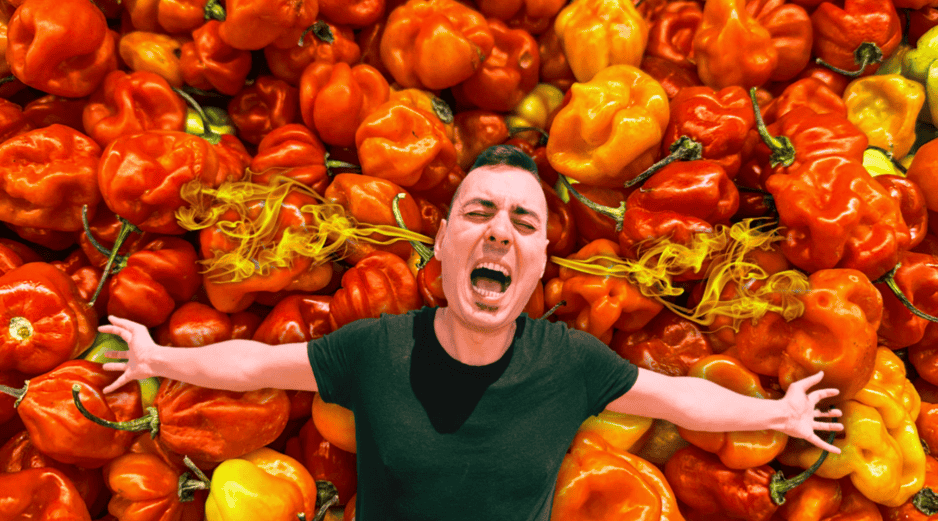 Este chile posee propiedades antioxidantes, antiinflamatorias y es una excelente fuente de vitamina C para el cuerpo. ESPECIAL / CANVA