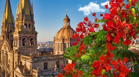 Los tabachines son de los últimos que se llenan de flores en la temporada de calor, en la primavera tapatía. ESPECIAL / CANVA