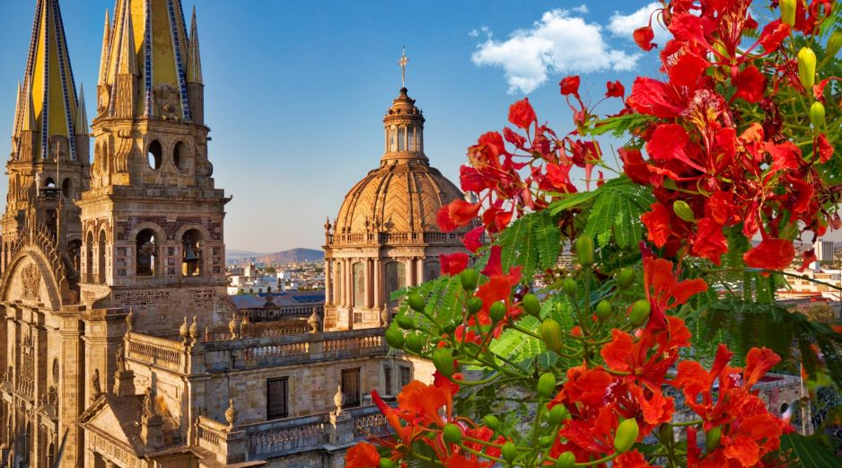 Los tabachines son de los últimos que se llenan de flores en la temporada de calor, en la primavera tapatía. ESPECIAL / CANVA