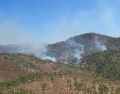 Autoridades mantienen vigilancia constante para evitar que las llamas se extiendan hacia otras áreas naturales y comunidades cercanas. CORTESÍA/PROTECCIÓN CIVIL Y BOMBEROS DE JALISCO