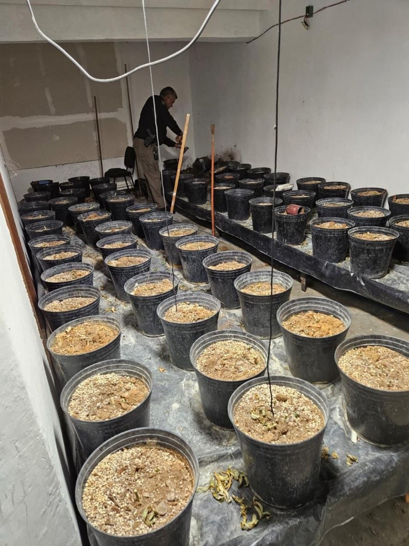 ESPECIAL / SSE&nbsp;