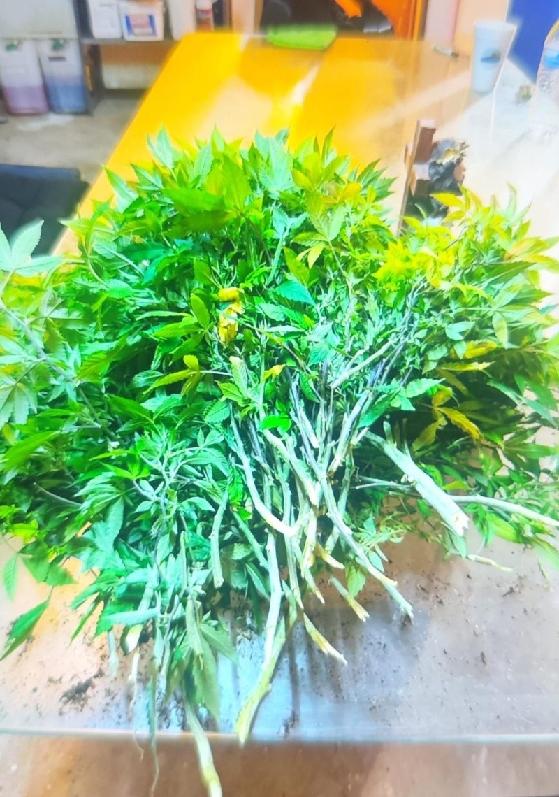 ESPECIAL / SSE&nbsp;