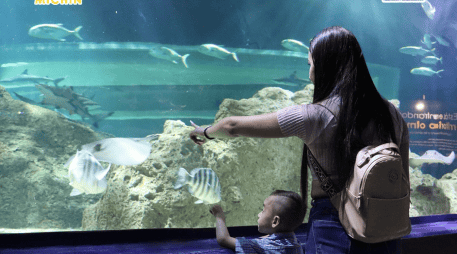 No dejes pasar esta promoción especial, organiza tu agenda, reúne a toda la familia y sumérgete en una experiencia única que mamá recordará con muchísimo cariño por el resto del año. ESPECIAL/ Facebook/ Acuario Michin Guadalajara