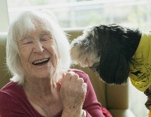 Antes de adoptar un perro para un adulto mayor, es importante consultarlo con la persona que sería su dueño. UNSPLASH / A. CYMRU