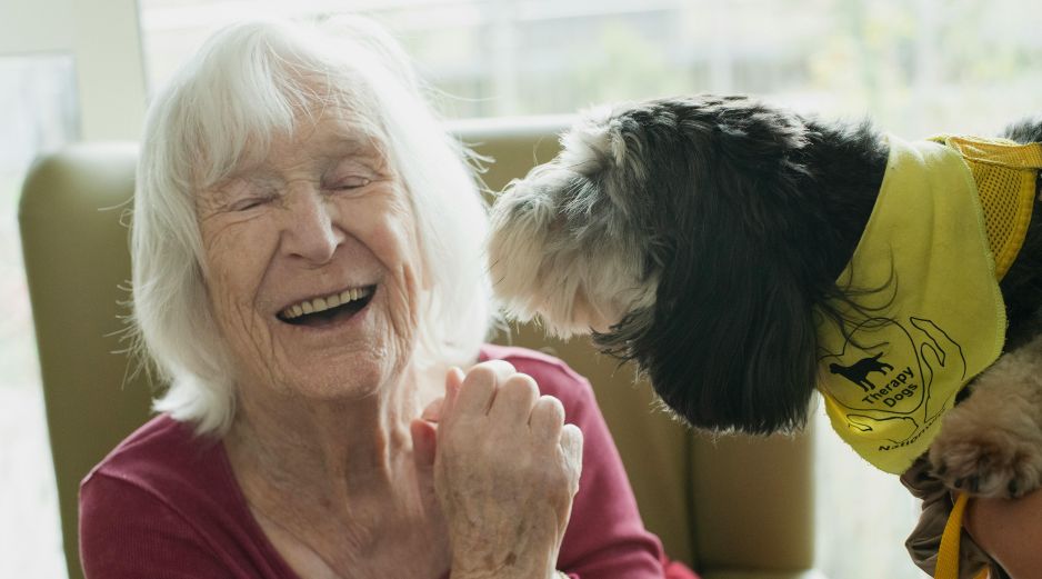 Antes de adoptar un perro para un adulto mayor, es importante consultarlo con la persona que sería su dueño. UNSPLASH / A. CYMRU