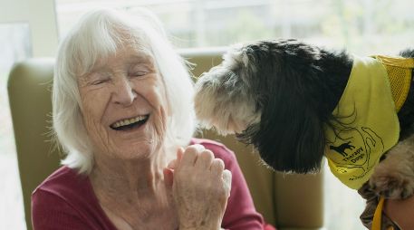 Antes de adoptar un perro para un adulto mayor, es importante consultarlo con la persona que sería su dueño. UNSPLASH / A. CYMRU