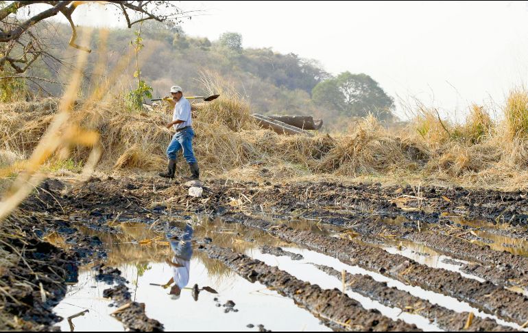 Autoridades enfatizan en la regularización de concesiones, en especial el sector agrícola. EL INFORMADOR