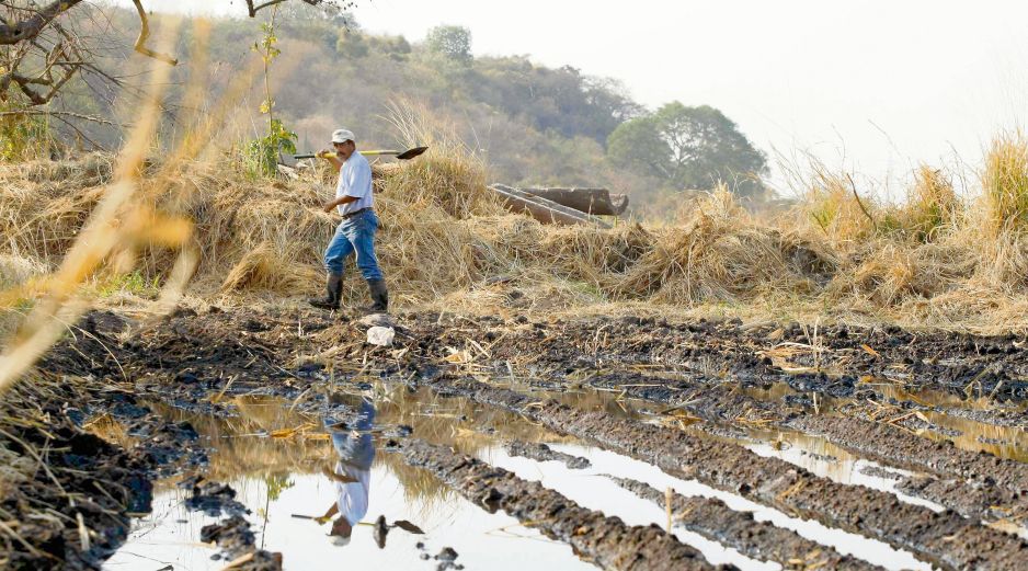 Autoridades enfatizan en la regularización de concesiones, en especial el sector agrícola. EL INFORMADOR