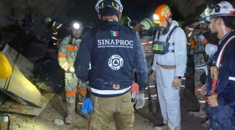 En las tareas de búsqueda y rescate estuvieron involucrados 389 elementos de diversas instituciones. X / @CNPC_MX